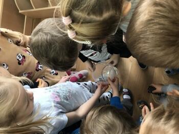 IMG_0582.JPEG