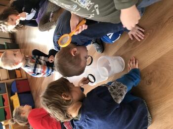 IMG_0589.JPEG