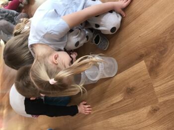 IMG_0592.JPEG