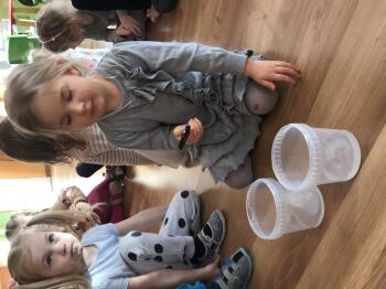 IMG_0594.JPEG
