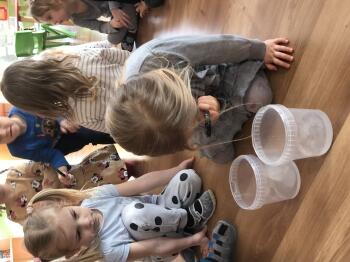 IMG_0595.JPEG