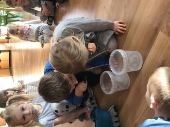 IMG_0596.JPEG