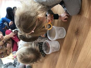 IMG_0600.JPEG