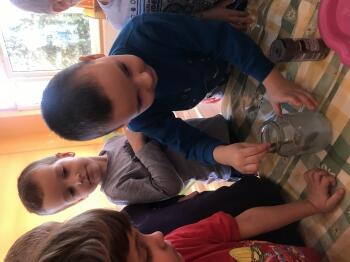 IMG_1287.JPEG
