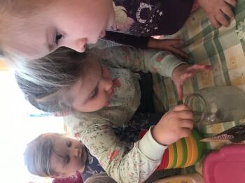 IMG_1286.JPEG