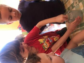 IMG_1291.JPEG