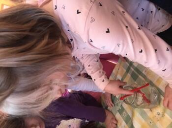 IMG_1292.JPEG