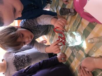 IMG_1293.JPEG