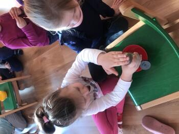 IMG_1296.JPEG