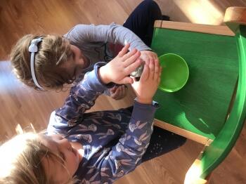 IMG_1305.JPEG