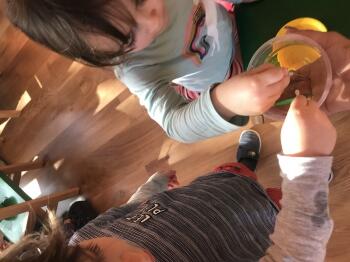 IMG_1313.JPEG