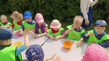 IMG_20220520_110329
