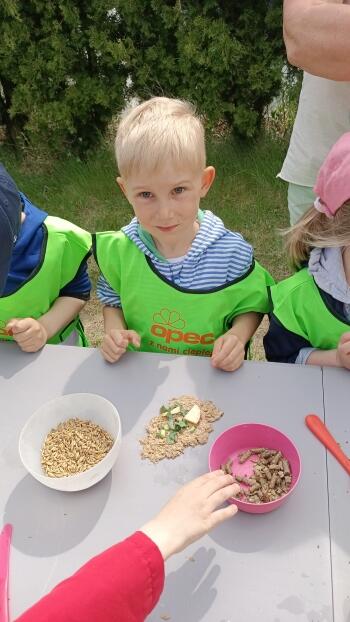IMG_20220520_110619