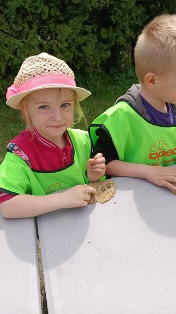 IMG_20220520_110656