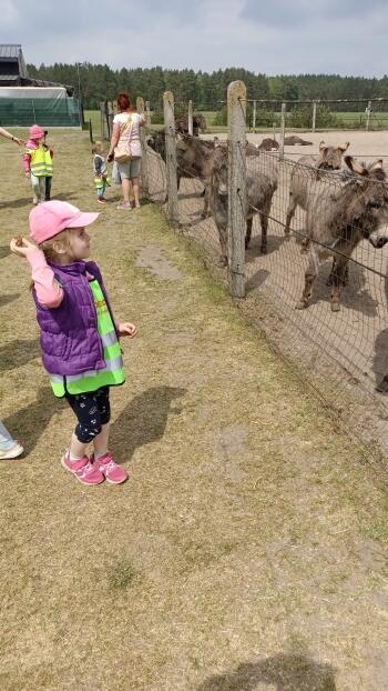 IMG_20220520_124842