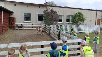 IMG_20220520_125843