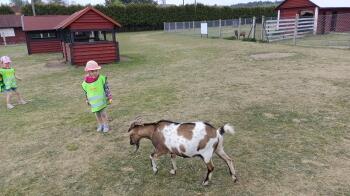 IMG_20220520_130257
