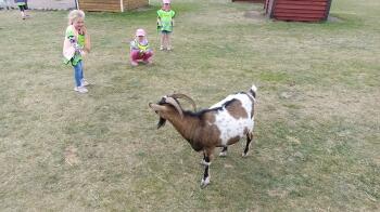 IMG_20220520_130316