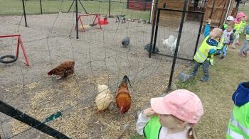 IMG_20220520_130518
