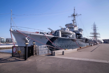 SÓWKI NA ''BŁYSKAWICY''